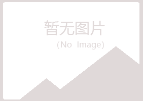 武夷山沉淀会计有限公司